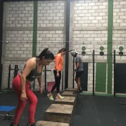 Alpha Crossfit