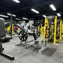 All Anatomy Gym