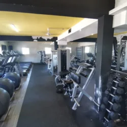 Divinos Gym