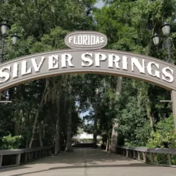 Silver Springs State Park