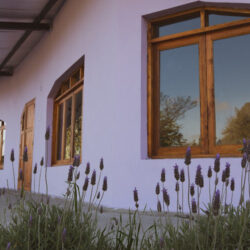 Escuela Waldorf Semilla Dorada - Jardín / Primaria / Secundaria. Enseñanza oficial