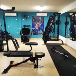 Force Gym