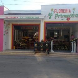 1 Floreria La Primavera