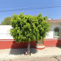 Abarrotes Flores