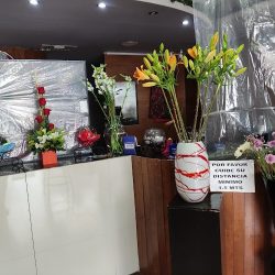 Abc De Flores