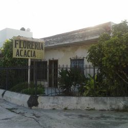 Acacia Momentos, Boutique Floral