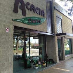 Acaciia Flores Regalos