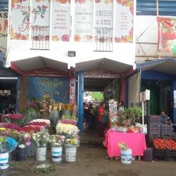 Accesorios Para Florería Jimenez