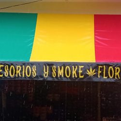 Accesorios & Smoke "flores"
