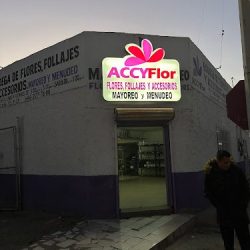 Accyflor Ensenada