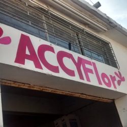Accyflor La Unión