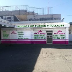 Accyflor Sucursal Mexicali 2