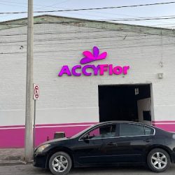 Accyflor Torreon 2