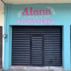 Alana FloristerÍa