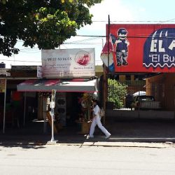 Alegra Floristería