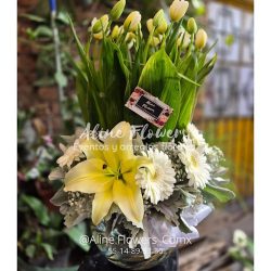 Alelin Regalos Y Flores