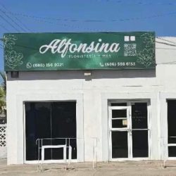 Alfonsina Floristeria