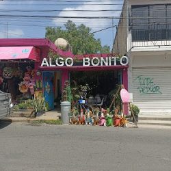Algo Bonito