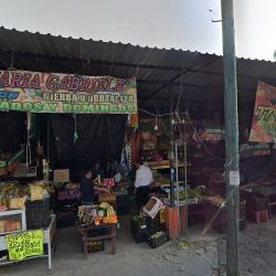 Alhelí’s Floristería