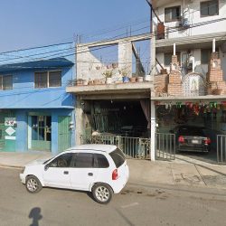 Alquiladora Flores