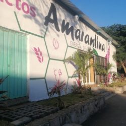 Amarantina