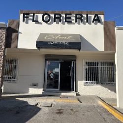 Ami Floreria Y Más…