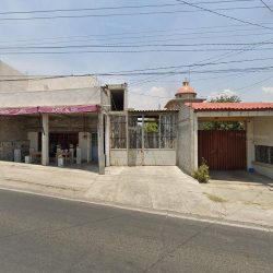 Amor Floral