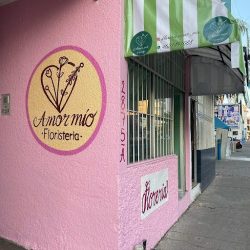 Amor Mio Floristeria