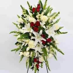 Ana Elizaberth Y Flores De México