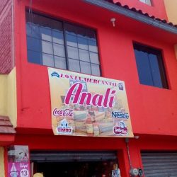 Anali
