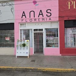 Anas Florerías Y Eventos