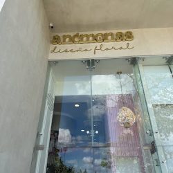 Anémonas Diseño Floral