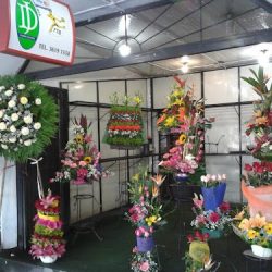 Antara By Flores Con Arte