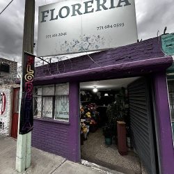 Ara Diseño E Innovación Floral