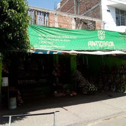 Aranzaflor