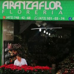 Aranzaflor Floreria