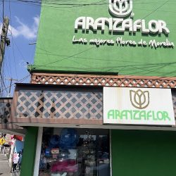 Aranzaflor Morelia