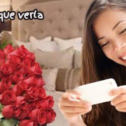 Aranzaflor, Torreon Nuevo, Florerias En Morelia