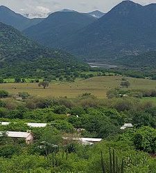 Aratichanguio