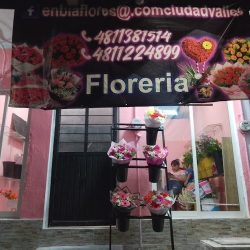 Archiflor Centro