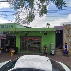 Arreglos Florales