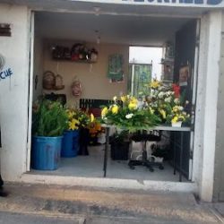 Arreglos Florales El Girasol