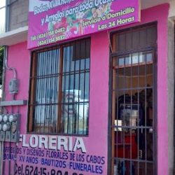 Arreglos Y Diseños Florales De Los Cabos