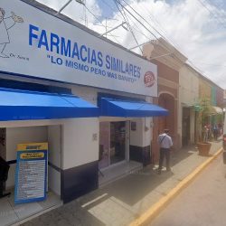 Arte En Flor D´lalo