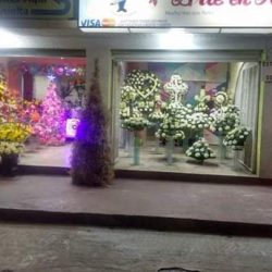 Arte En Rosas