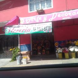 Arte Y Decoración Floral