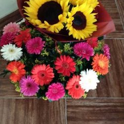 Arte Y Diseño Floral Sheccid