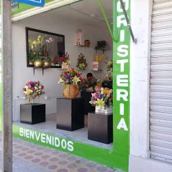 Arteve