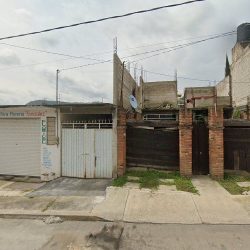 Articulos Para Floreria Gonzalez