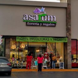Asarum Floreria Y Regalos Hermosillo
